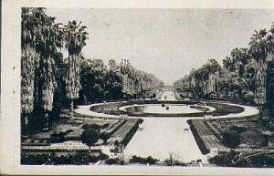 ALGER JARDIN D ESSAI 2